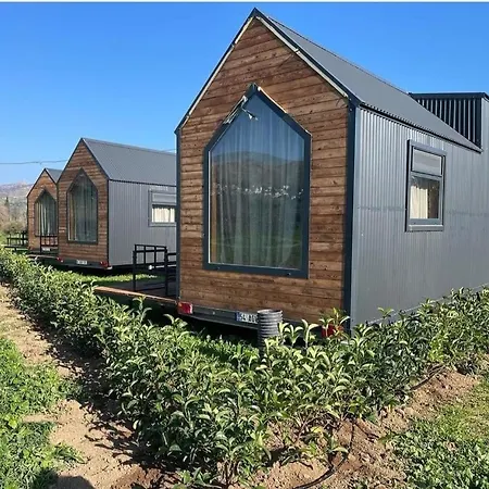 Bodrum Artemis And Wellness Кемпинг