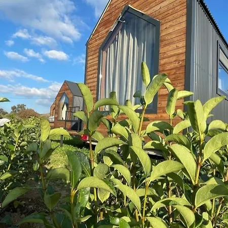 Bodrum Artemis And Wellness Derekoy (Bodrum)