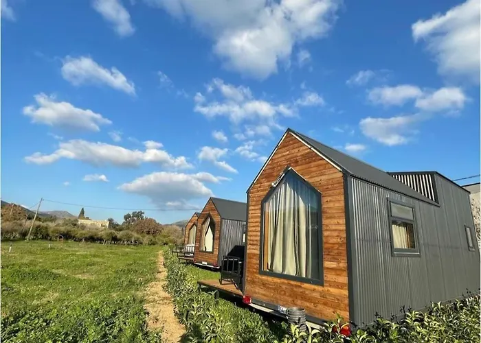 Bodrum Artemis And Wellness Derekoy (Bodrum)