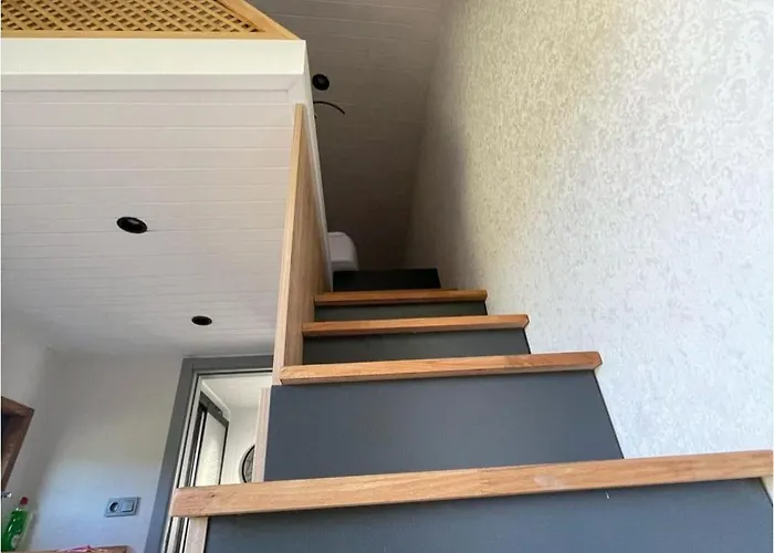 Bodrum Artemis And Wellness Кемпинг Derekoy (Bodrum)