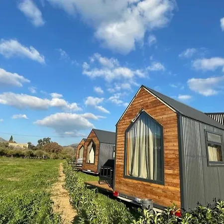 Bodrum Artemis And Wellness Derekoy (Bodrum)