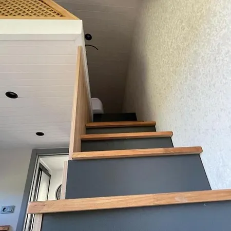 Bodrum Artemis And Wellness 캠프장 Derekoy (Bodrum)