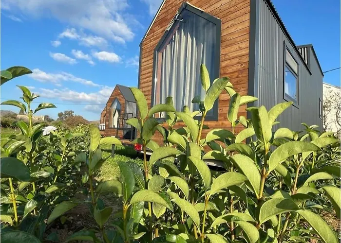 Bodrum Artemis Lodging&wellness Derekoy (Bodrum)